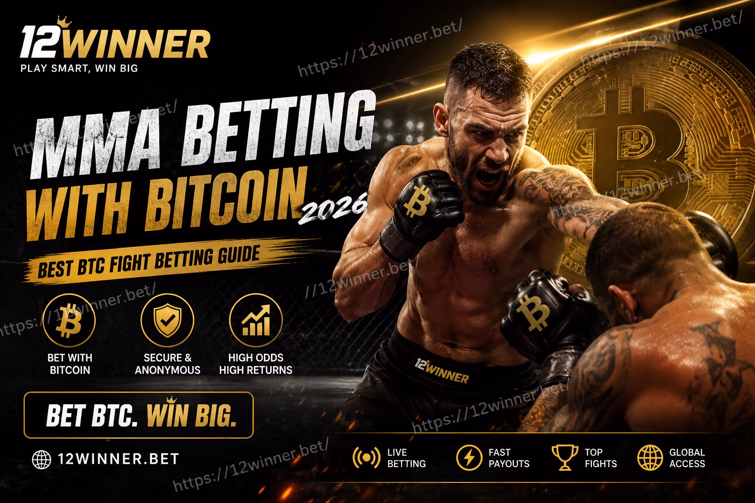 MMA Betting with Bitcoin 202 Best BTC Fight Betting Guide